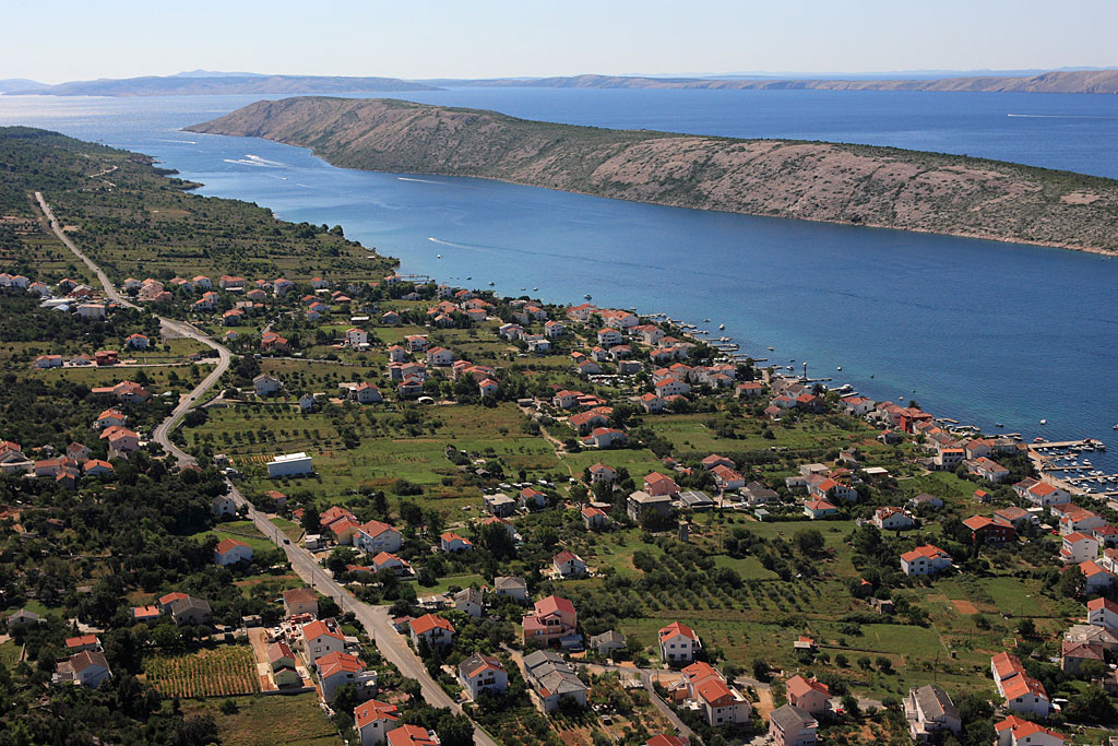 barbat6b.jpg